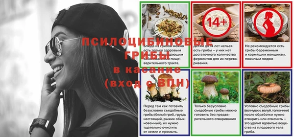 СК Гусь-Хрустальный