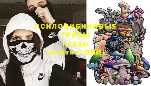 ешки Абаза