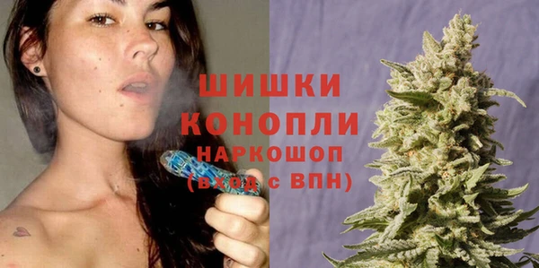 экстази Гусев