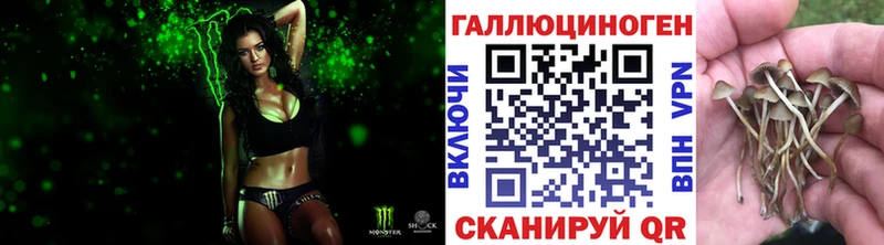 магазин продажи   дарк нет состав  Галлюциногенные грибы Magic Shrooms  Александров 