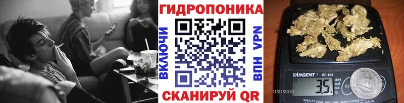 Шишки марихуана OG Kush  Александров 